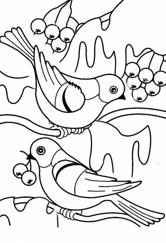 5 Снегирей раскраска