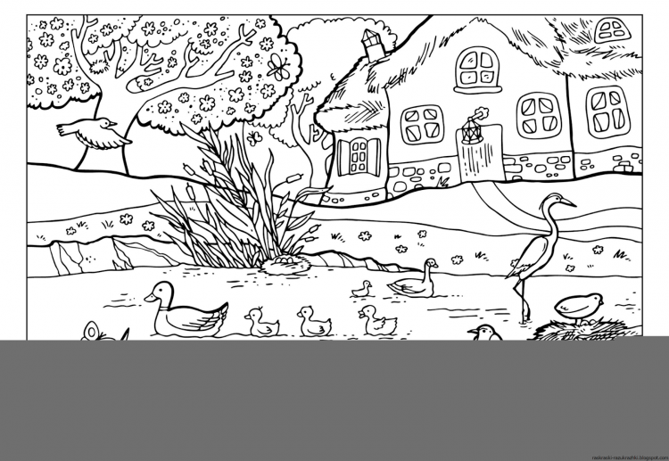 Раскраска Живая природа для детей