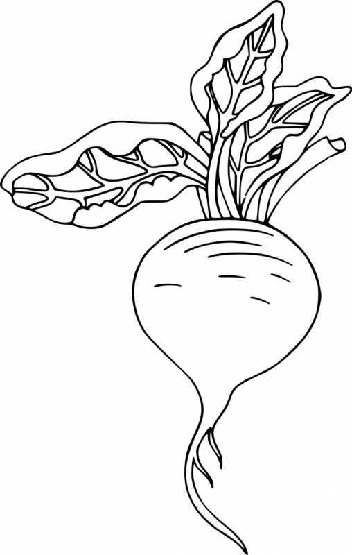 Раскраска малышам «собачка»