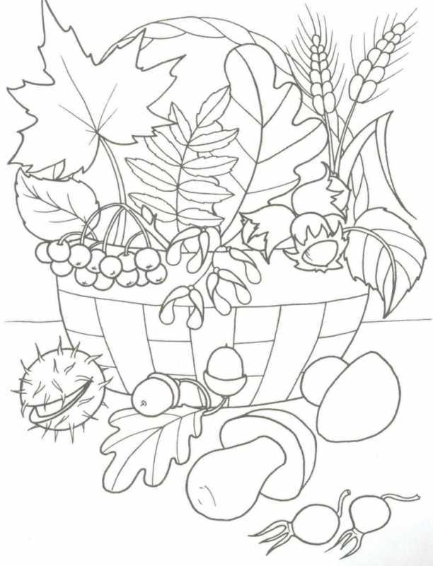 Раскраска. Осень