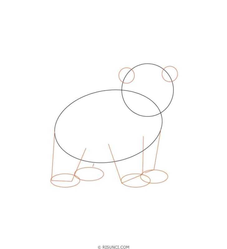 Поэтапное рисование медведя