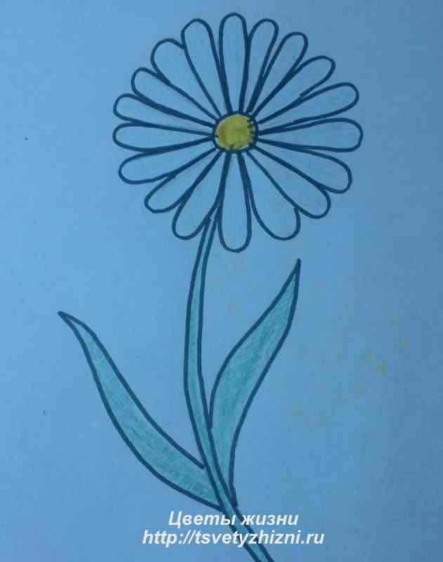 Цветы. Раскраска