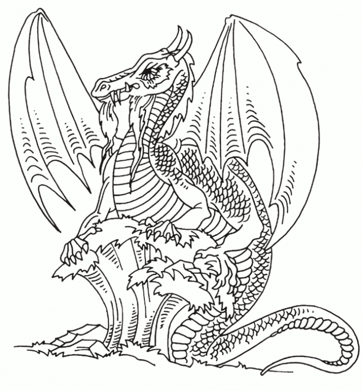 Для раскрашивания дракона для детей