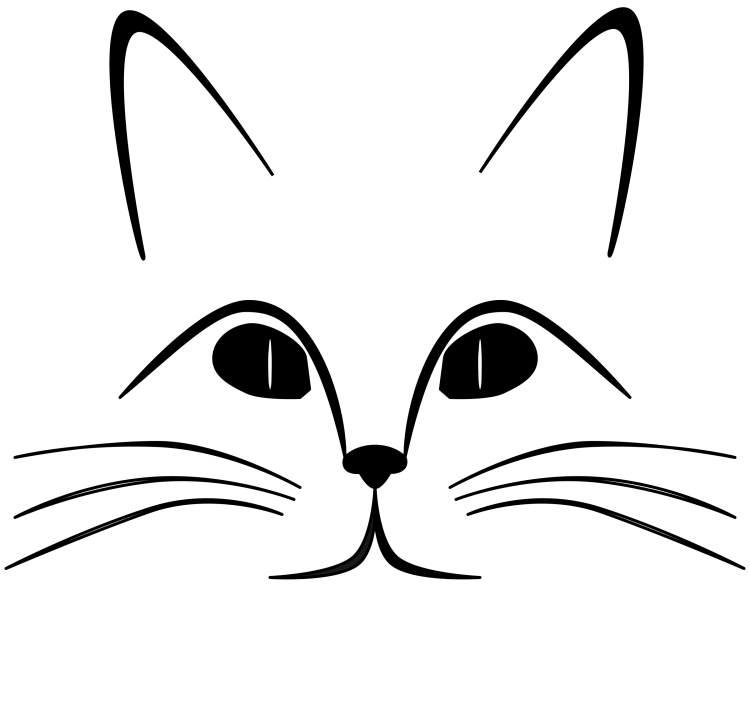 Нарисовать морду кота