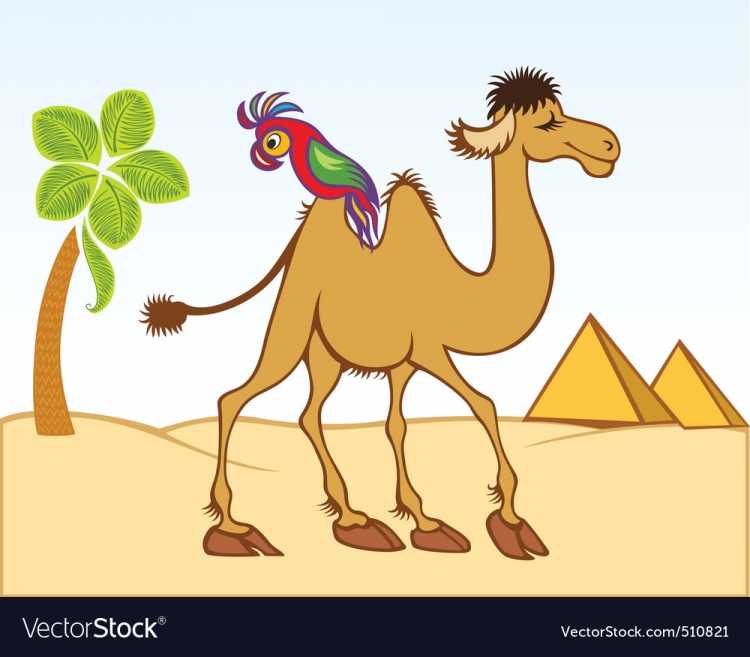 Верблюжонок мультяшный