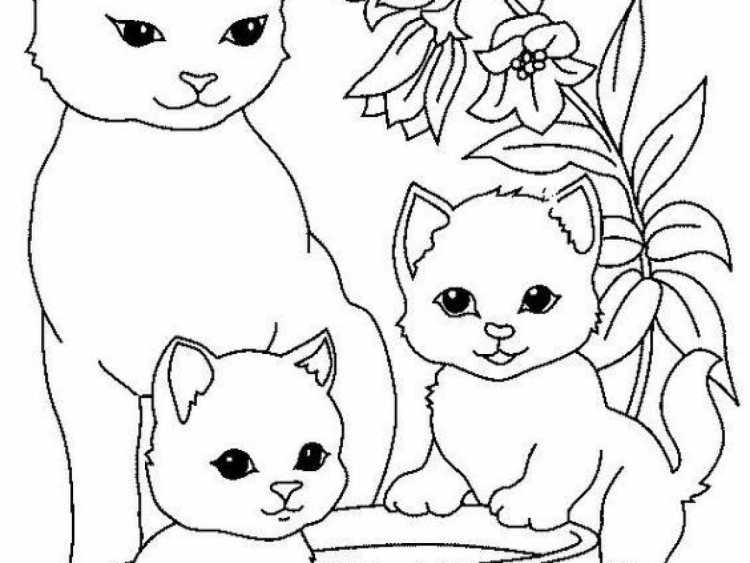 Раскраски маленькие котята