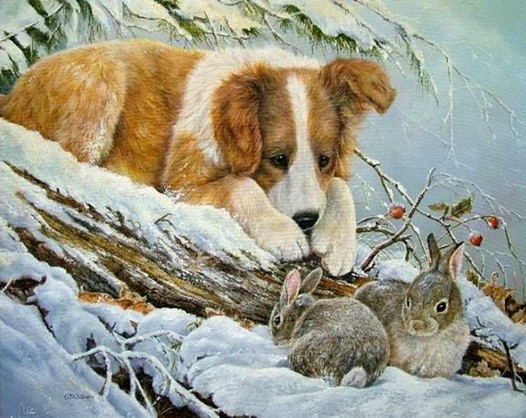 Художник Shirley Deaville