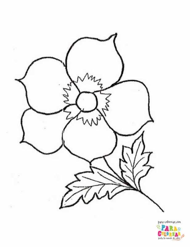 Детские раскраски цветы