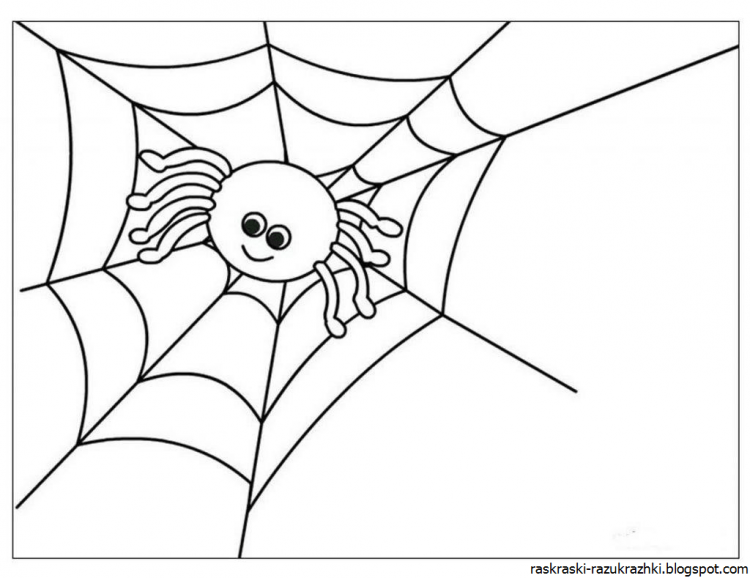 Раскраска паук на Хэллоуин