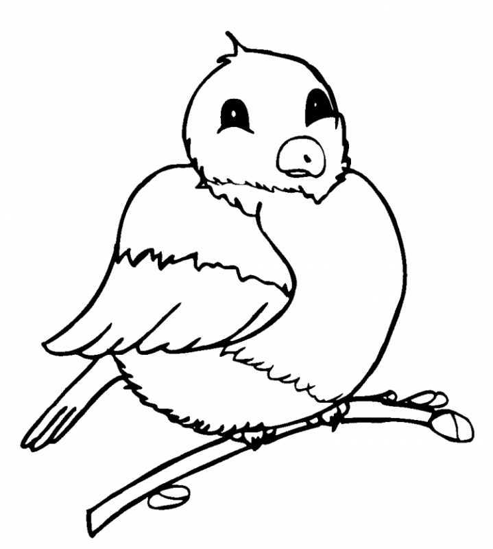 Раскраска Снегирь на ветке рябины