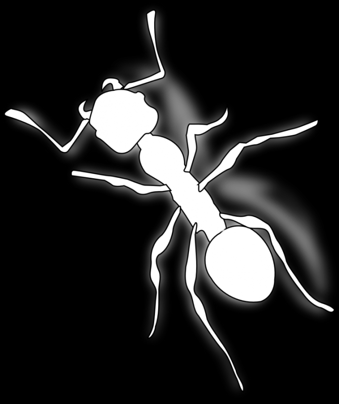 Муравей карандашом