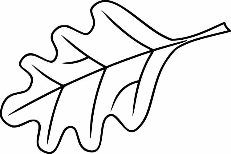 Листочки раскраска для детей