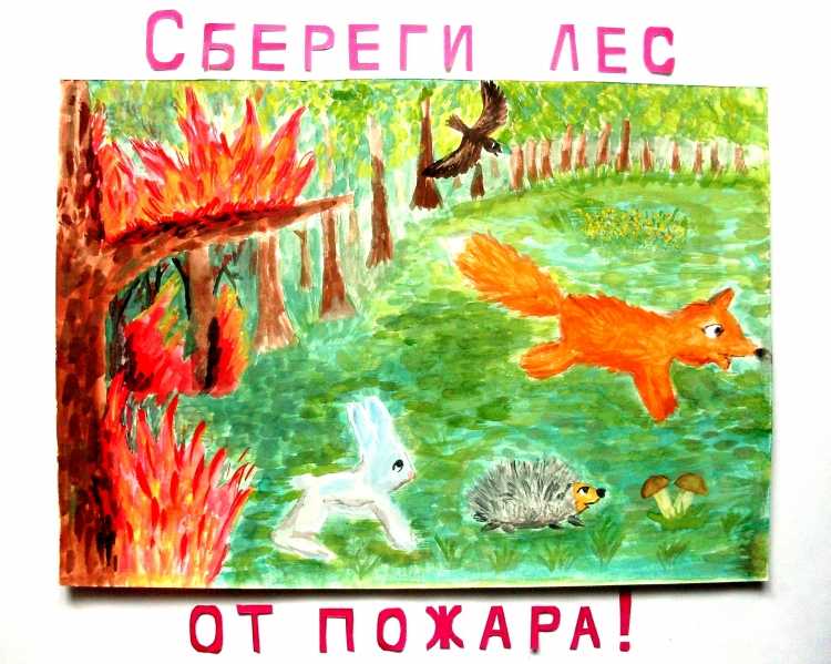 Берегите лес и животных