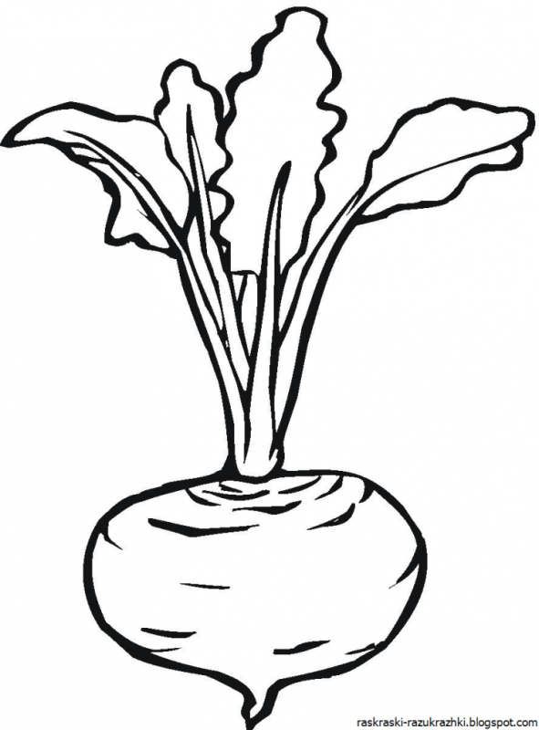 Морковь трафарет