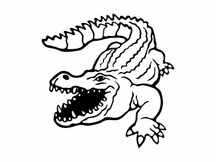 Раскраска крокодил