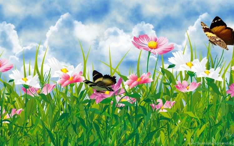 Поляна с цветами и бабочками