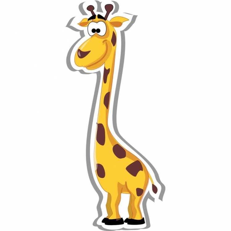 Раскраска жирафа