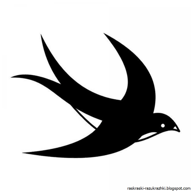 Ласточка раскраска