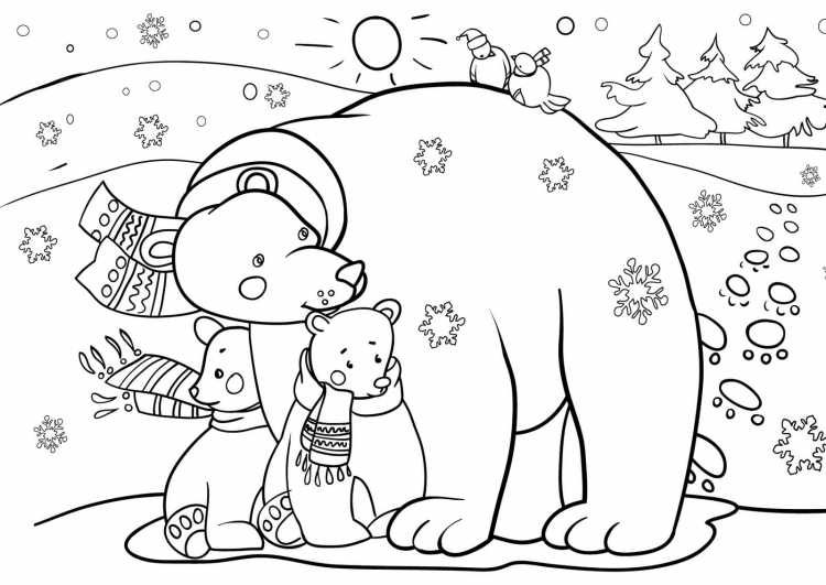 Контур медведя для рисования