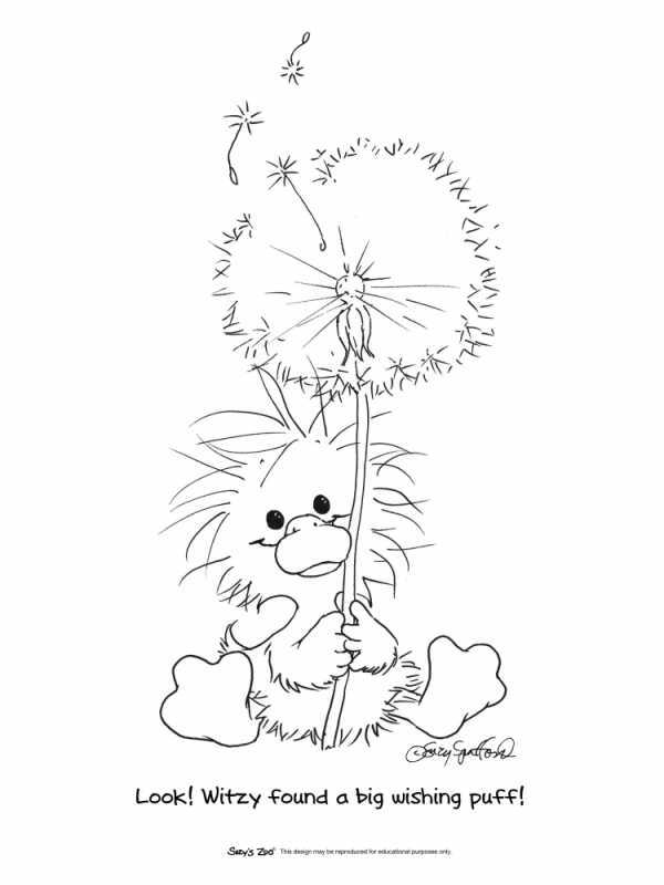 Одуванчик отцветший рисунок карандашом