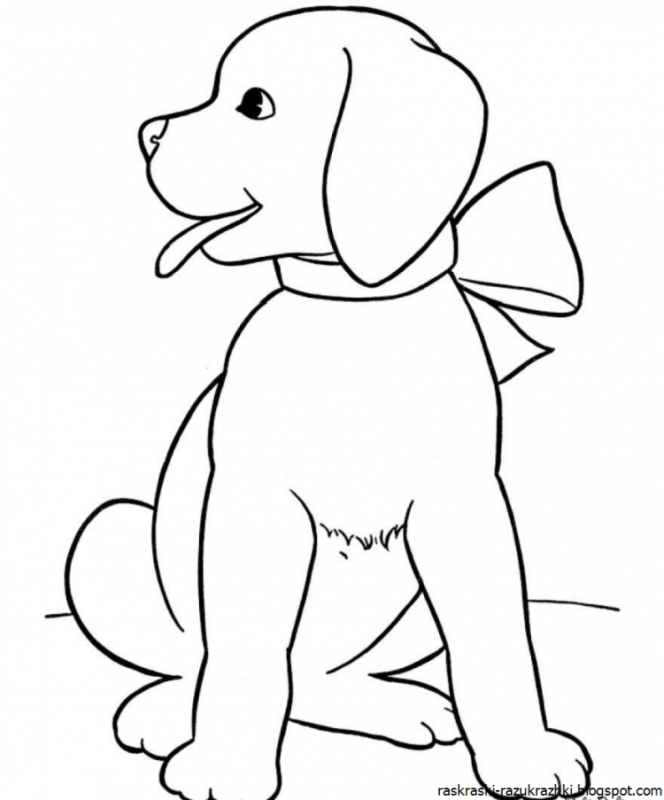 Собачка жучка раскраска