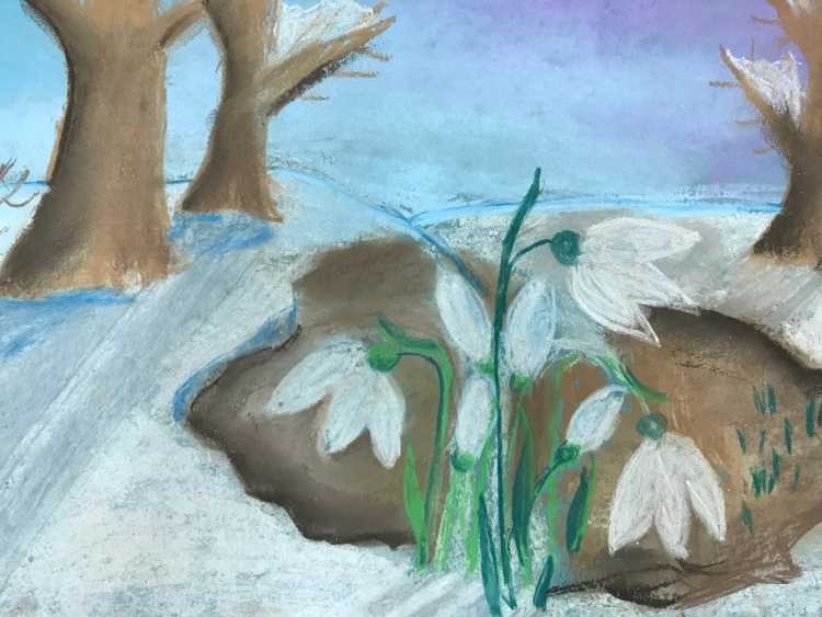 Подснежники вектор для детей