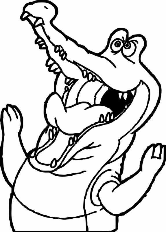 Пираты Нетландии крокодил