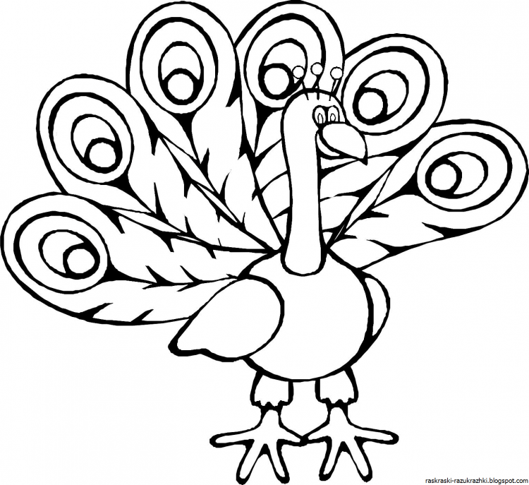 Раскраска павлина
