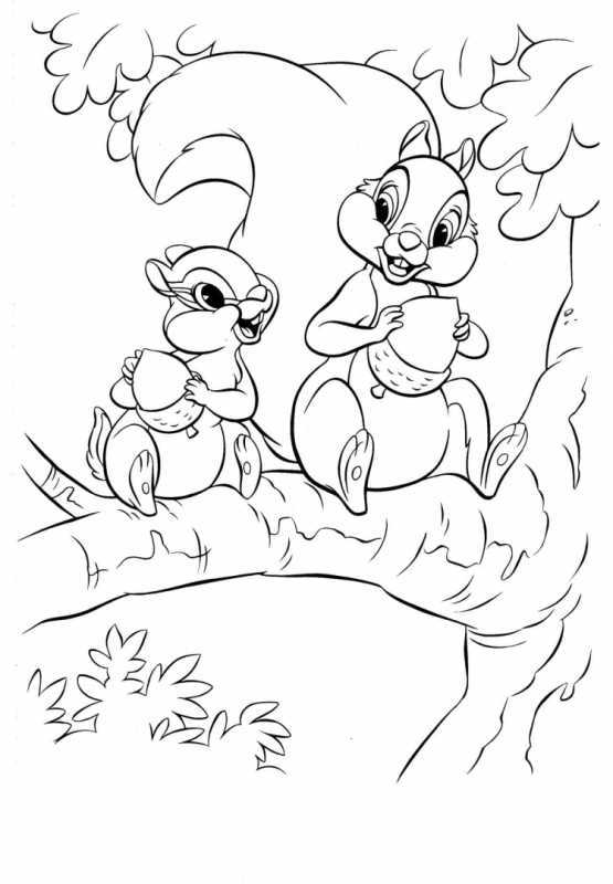 Раскраска Белочка