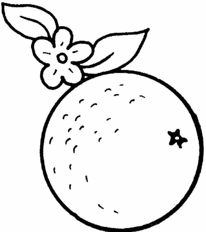 Раскраска фрукты с названиями