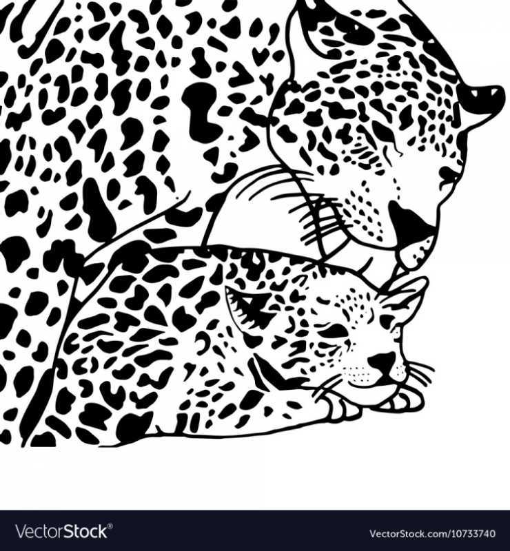 Гепард чб рисунок