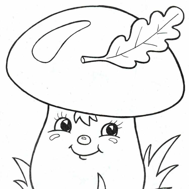 Гриб груздь раскраска