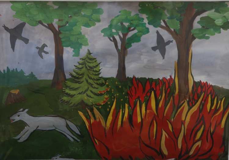 Лес без пожара