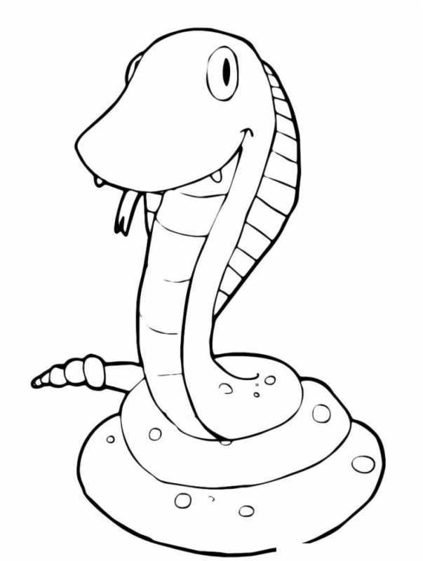 Пресмыкающиеся раскраска для детей