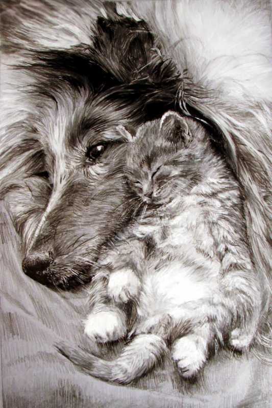 Карикатуры кошек и собак