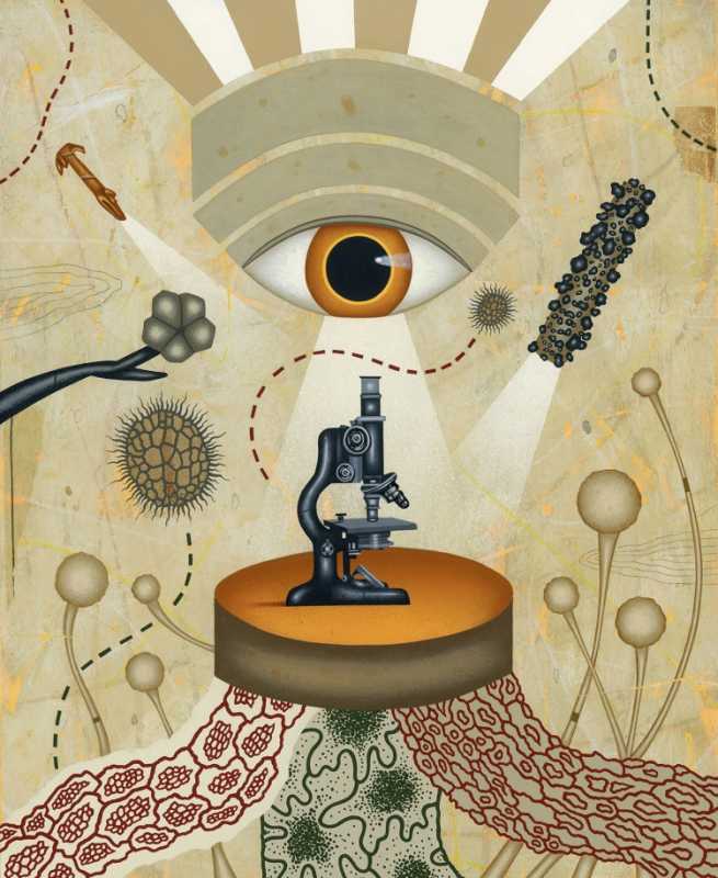 Наука иллюстрация