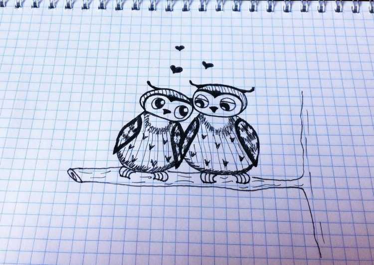 Рисунки ручкой для начинающих