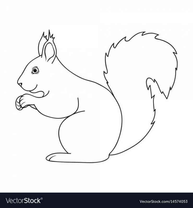 Раскраска Белочка