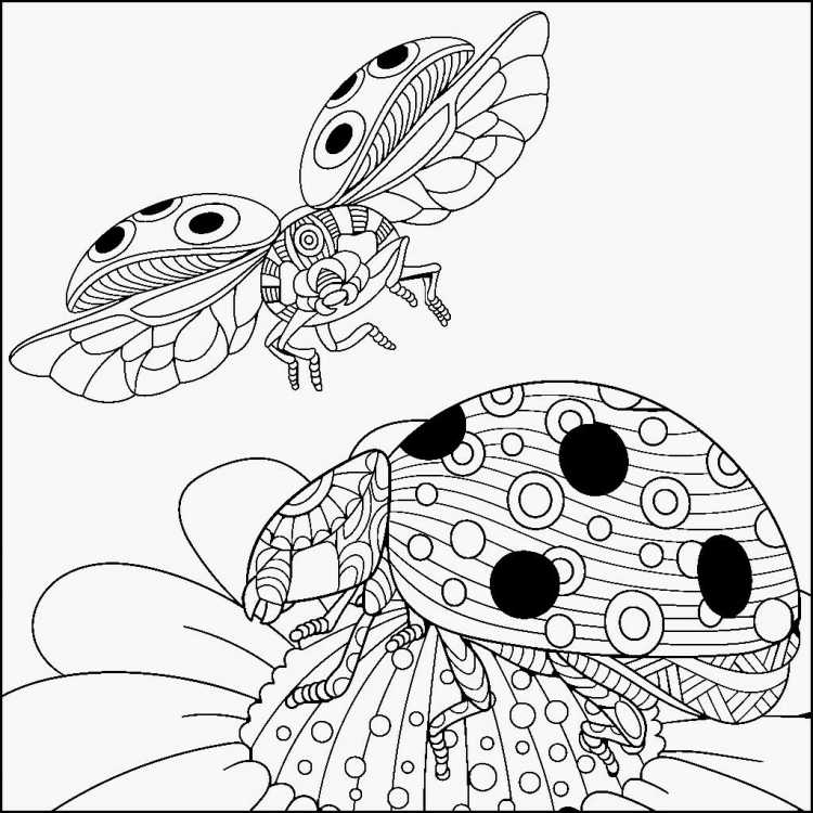 Насекомые раскраска для детей