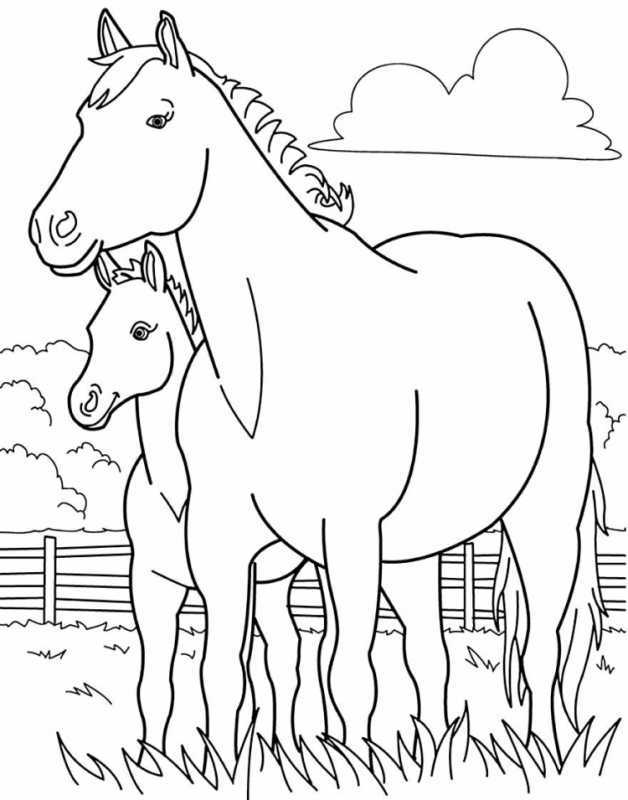 Раскраска. Лошади