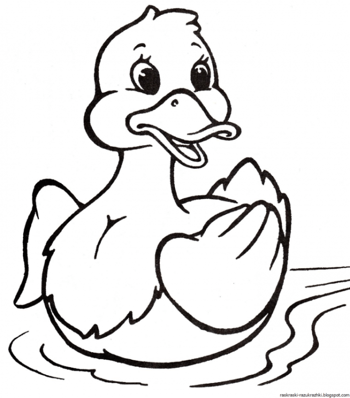 Утки раскраска для детей