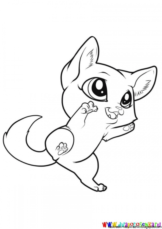 Раскраска. Котики