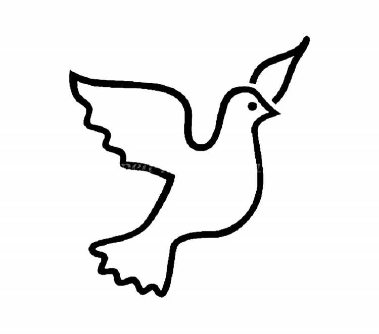 Голубь раскраска для детей