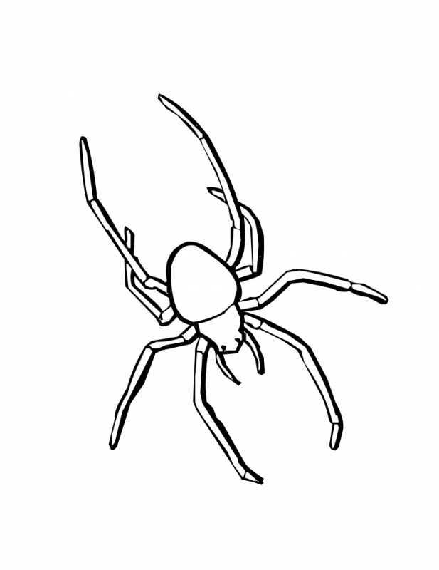 Паук рисунок карандашом на Хэллоуин