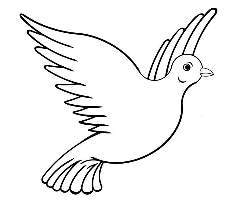 Голубь раскраска