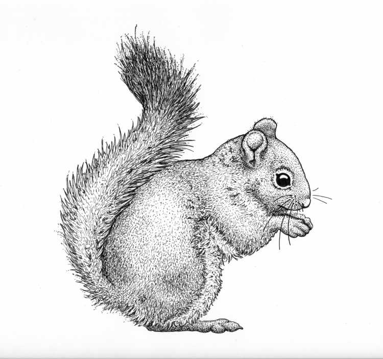 Осенние раскраски для малышей