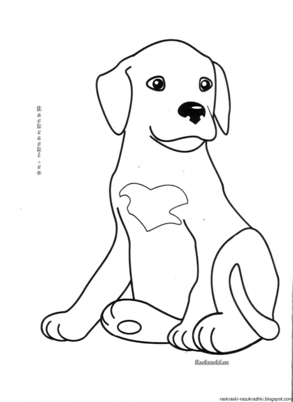 Щенок раскраска для детей
