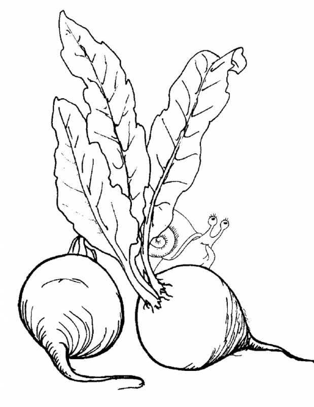Овощи раскраска для детей