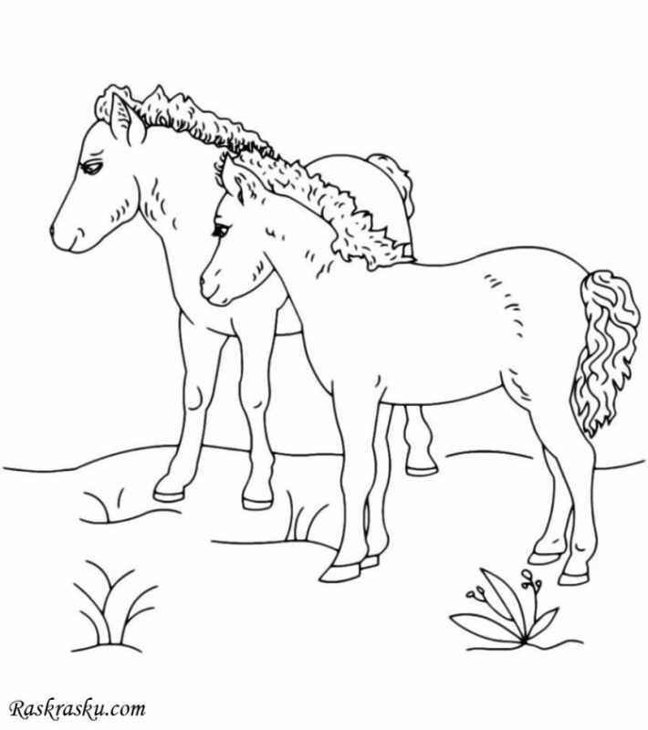 Раскраска. Лошадка