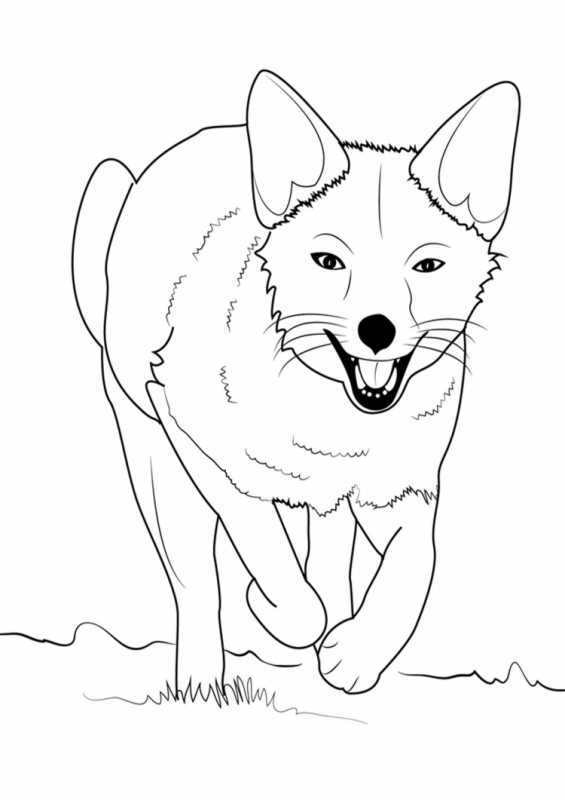 Раскраска лиса